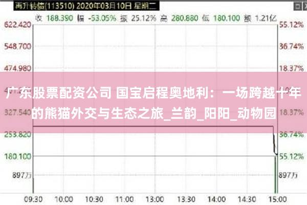广东股票配资公司 国宝启程奥地利：一场跨越十年的熊猫外交与生态之旅_兰韵_阳阳_动物园