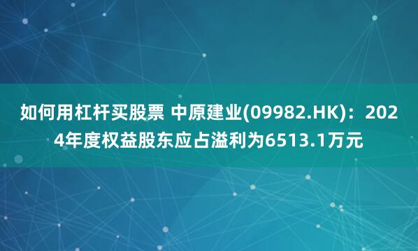 如何用杠杆买股票 中原建业(09982.HK)：2024年度权益股东应占溢利为6513.1万元