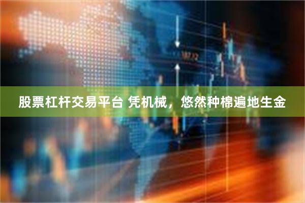 股票杠杆交易平台 凭机械，悠然种棉遍地生金