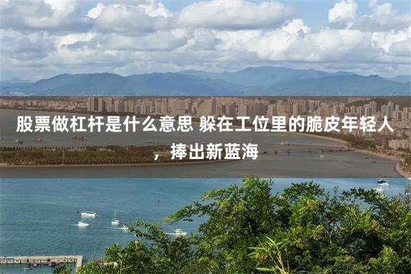 股票做杠杆是什么意思 躲在工位里的脆皮年轻人，捧出新蓝海