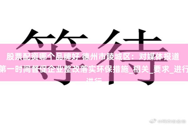 股票配资哪个品牌好 德州市陵城区：对媒体报道 第一时间督促企业整改落实环保措施_相关_要求_进行