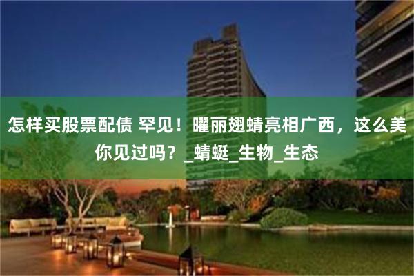 怎样买股票配债 罕见！曜丽翅蜻亮相广西，这么美你见过吗？_蜻蜓_生物_生态