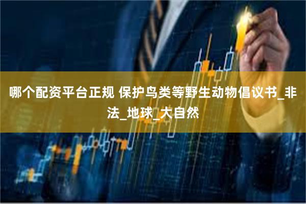 哪个配资平台正规 保护鸟类等野生动物倡议书_非法_地球_大自然