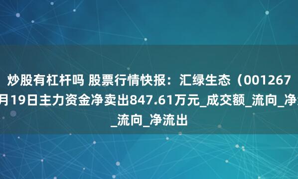 炒股有杠杆吗 股票行情快报：汇绿生态（001267）6月19日主力资金净卖出847.61万元_成交额_流向_净流出