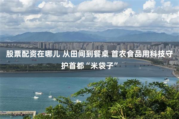 股票配资在哪儿 从田间到餐桌 首农食品用科技守护首都“米袋子”