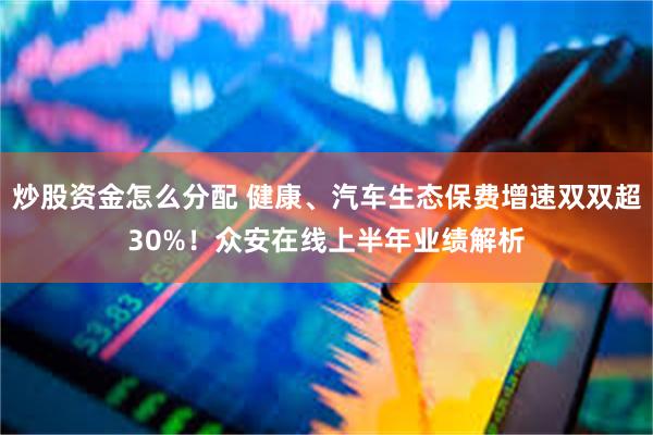 炒股资金怎么分配 健康、汽车生态保费增速双双超30%！众安在线上半年业绩解析